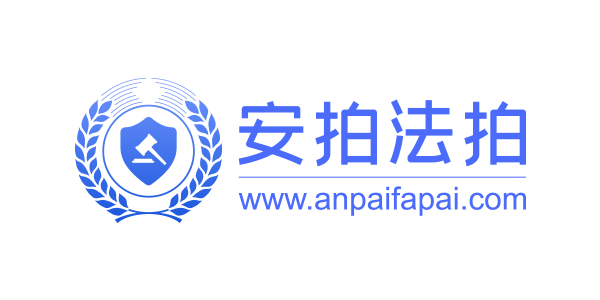 遼寧安拍網絡科技有限公司  企業品牌網站定制開發